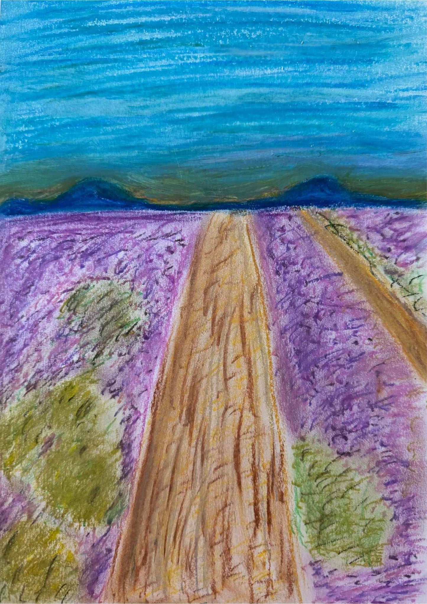dessin pastel à l'huile champs de lavande provence