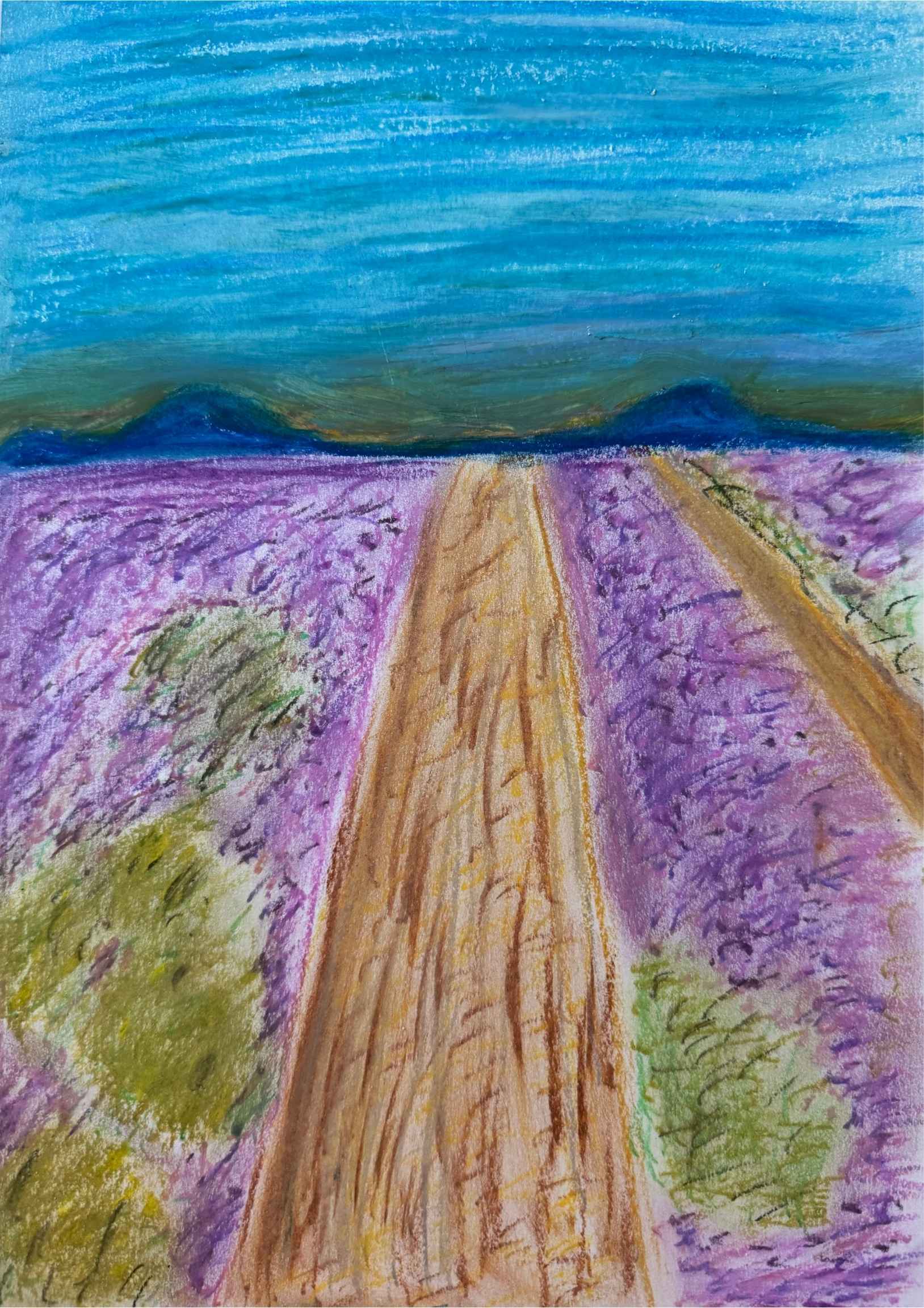 dessin pastel à l'huile champs de lavande provence