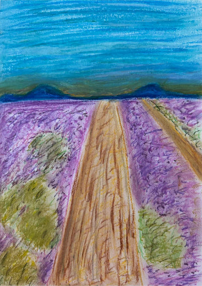 dessin pastel à l'huile champs de lavande provence